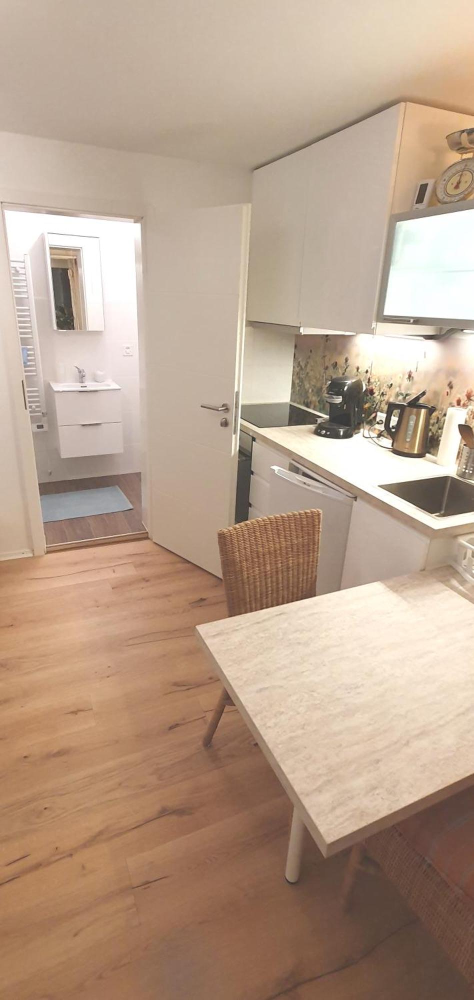 Stilvoll Gertrud Schloessli 1 Zi Studio St. Gallen Luaran gambar